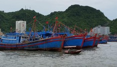 Hàng nghìn tàu cá không được ra khơi: Cách nào giải cứu?