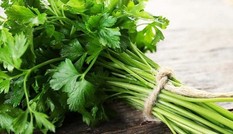 Rau mùi: Cực tốt và cực độc, biết mà tránh khi ăn kẻo rước ung thư vào người