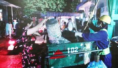 Nỗi lòng những nữ nhân viên môi trường tại Huế bị người dân xua chó cắn