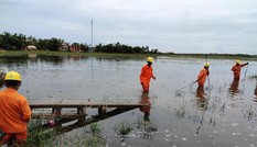 Sau sự cố hơn 400 cột điện gãy đổ do bão: Cấp điện trở lại cho 100% khách hàng