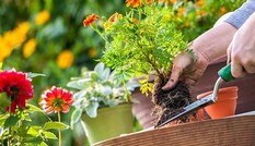 Bạn có đang góp phần gieo trồng thứ gì đáng để gặt hái bởi người khác không?