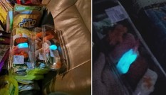 Mua sushi về nhà ăn, giật mình khi mấy miếng tôm phát ánh sáng xanh kỳ quái trong bóng tối