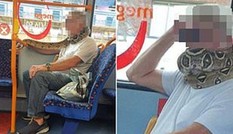 Dùng khăn thay khẩu trang xưa rồi, có người quấn cả rắn thay khẩu trang trên xe buýt này
