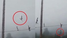 Kinh hoàng khi dây bảo hộ bất ngờ đứt, thanh niên biểu diễn đu dây rơi từ độ cao 20 mét