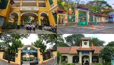 Vụ cây đổ khiến học sinh tử vong: Nguy cơ tiềm ẩn từ cây tuổi đời lâu năm tại các trường