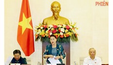 Nghị quyết về giám sát năm 2021: Xem xét về phòng chống tội phạm, tham nhũng, thi hành án
