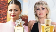 Bật mí những dòng nước hoa giúp bạn luôn cuốn hút và quyến rũ như sao Hollywood