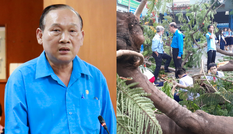 Vụ cây đổ trong trường khiến học sinh tử vong: Hiệu trưởng THCS Bạch Đằng nhận trách nhiệm