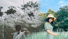 Cánh đồng lau ngay giữa trung tâm Hà Nội: Đẹp hoang sơ nhưng lên hình “chill” cực kỳ