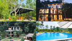 Tha hồ “sống ảo” ở villa nhà kính giữa rừng thông cách trung tâm Hà Nội 1 tiếng chạy xe!