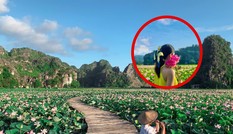 Ngỡ ngàng hồ sen nở rộ giữa Thu ở Hang Múa (Ninh Bình), giới trẻ tha hồ chụp ảnh “sống ảo“