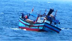 Tàu cá Bình Định cứu 5 ngư dân Phú Yên trên thúng chai trôi dạt trên biển