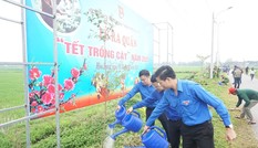 Tuổi trẻ Đà Nẵng ra quân Tết trồng cây Xuân Canh Tý