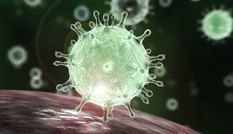 Chủng virus tìm thấy ở bệnh nhân Đà Nẵng là chủng mới, dịch đã âm thầm từ đầu tháng 7?
