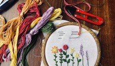 Làm gì cho vui khi thành phố “đóng băng“?
