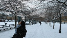 Giải mã “hội chứng Stockholm”: Tại sao tôi lại yêu và mê Stockholm đến vậy?
