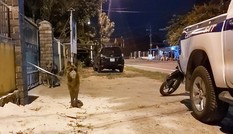 Xuyên đêm vây bắt tội phạm đặc biệt nguy hiểm ở rừng Hải Vân
