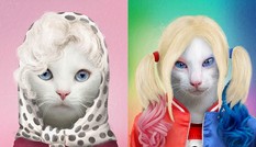 Màn cosplay các huyền thoại của "boss" khiến các "sen" tranh nhau thả yêu thương