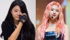 Cái kết “đắng” cho cô gái công khai ghét Sana (TWICE) nhưng muốn làm thực tập sinh JYP