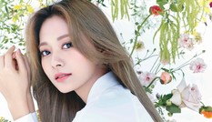Tzuyu gọi TWICE là “con heo” đã bất ngờ nhưng vẫn không sốc bằng phản ứng của netizen