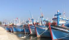 Dính ‘thẻ vàng’, xuất khẩu hải sản sang EU giảm