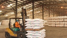 Đạm Phú Mỹ lần thứ 5 lọt vào Top 50 thương hiệu dẫn đầu Việt Nam
