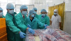 Việt Nam nỗ lực khắc phục 'thẻ vàng' IUU của EC