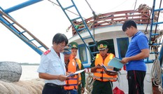 Để gỡ 'thẻ vàng' của EC: Nhiều địa phương 'siết' chặt quản lý tàu cá