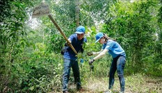 Trồng 1 tỷ cây xanh: Tránh chạy theo phong trào, 'trồng 10, chết 9'
