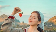 Mộc Châu - Chuyến đi tuổi thanh xuân