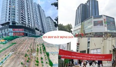 Bịa dự án phân lô bán nền phạt tiền tỷ còn nhẹ, dân chung cư tố bị đuổi khỏi nhà