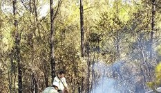Cháy rừng dữ dội, cấp điện căng thẳng, EVN báo cáo khẩn Thủ tướng