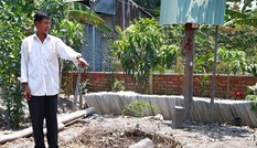 Công an TPHCM xác định người dựng chòi ngỗng 'không phạm tội'