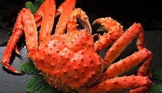 Vì sao cua hoàng đế Alaska giảm giá kỷ lục
