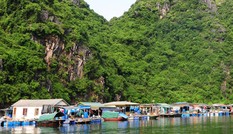 Cách nào phục sinh “hồn cốt” di sản vịnh Hạ Long?