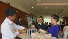 Làm nông đâu chỉ dựa vào công nghệ cao