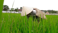Áo tơi của mẹ