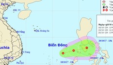 Xuất hiện vùng áp thấp trên Biển Đông, Nam Bộ mưa lớn