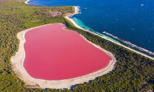 Tại sao ở Úc có khá nhiều hồ nước màu sắc hồng?