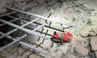 Gián lai robot của Singapore hỗ trợ tìm kiếm cứu nạn sau trận động đất ở Myanmar