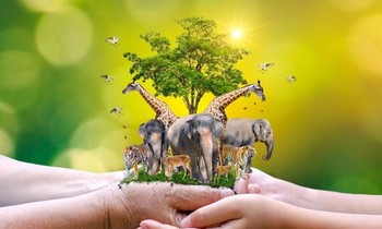 Chung tay bảo vệ động vật, thực vật hoang dã
