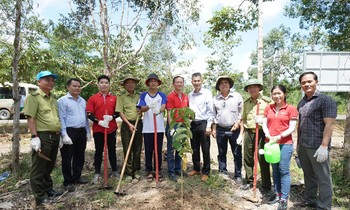 Bạn trẻ trồng 3.000 cây xanh hưởng ứng Ngày Bảo tồn thiên thiên thế giới