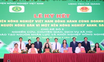 Học bổng đào tạo nguồn nhân lực chất lượng cao dành cho học sinh các tỉnh miền núi phía Bắc