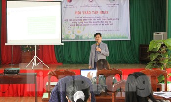 Đánh thức tiềm năng dược liệu quý, tạo sinh kế bền vững vùng đồng bào dân tộc thiểu số