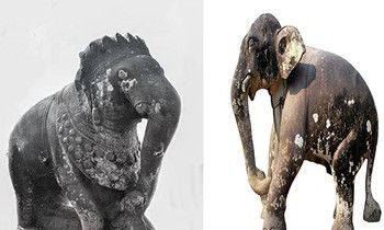 Tượng voi đá Thành Đồ Bàn được đề nghị công nhận bảo vật quốc gia