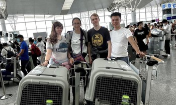 Anh Vũ Thế Minh (ngoài cùng bên phải) cùng những người chơi đến từ Mỹ chuẩn bị cho 4 chú chó Mông Cộc xuất ngoại