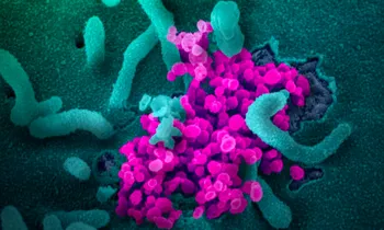 Các nhà nghiên cứu tin rằng virus gây ra Covid-19 tiếp tục biến đổi trong quá trình lây lan. (Ảnh: SCMP)
