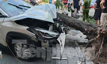Vụ ô tô tông liên hoàn nhiều xe máy trên phố Trần Đại Nghĩa (Hà Nội): Một nữ nạn nhân 60 tuổi tử vong