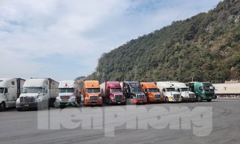 Thúc đẩy hợp tác thương mại 7 tỉnh biên giới giáp Trung Quốc