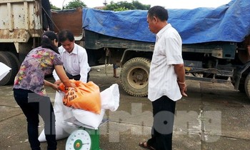 Người dân Cao Bằng nhận gạo cứu trợ